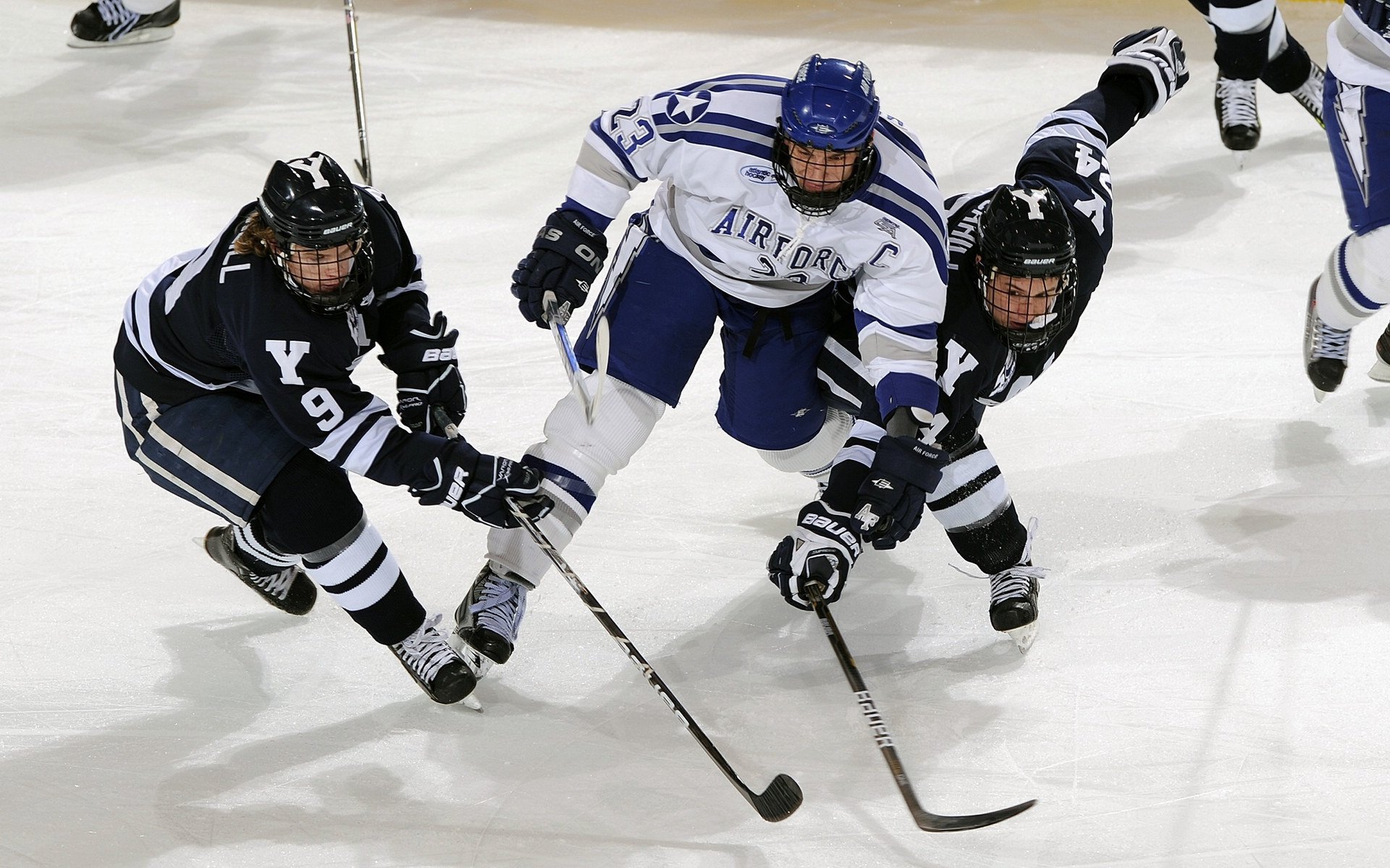 意大利骑手拉里萨·保利斯在2024年巴黎奥运会盛装舞步比赛中获得第七名，展现出色表现。
