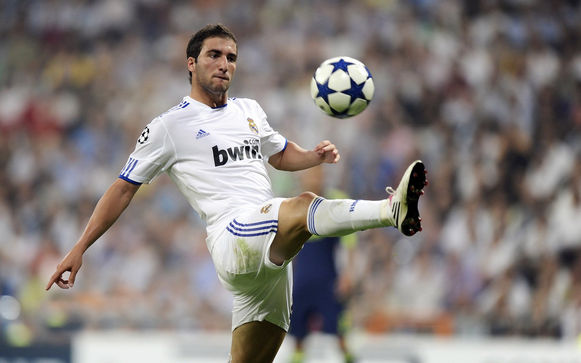 赛季最佳新人揭晓，球队未来竞争力被看好，新赛季球员排名